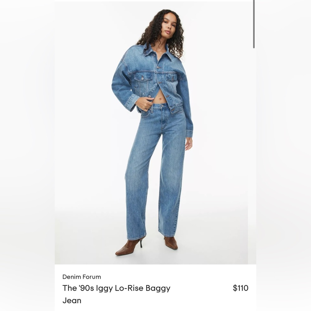 Aritzia Denim Forum The '90s Iggy Lo-Rise Baggy Jean